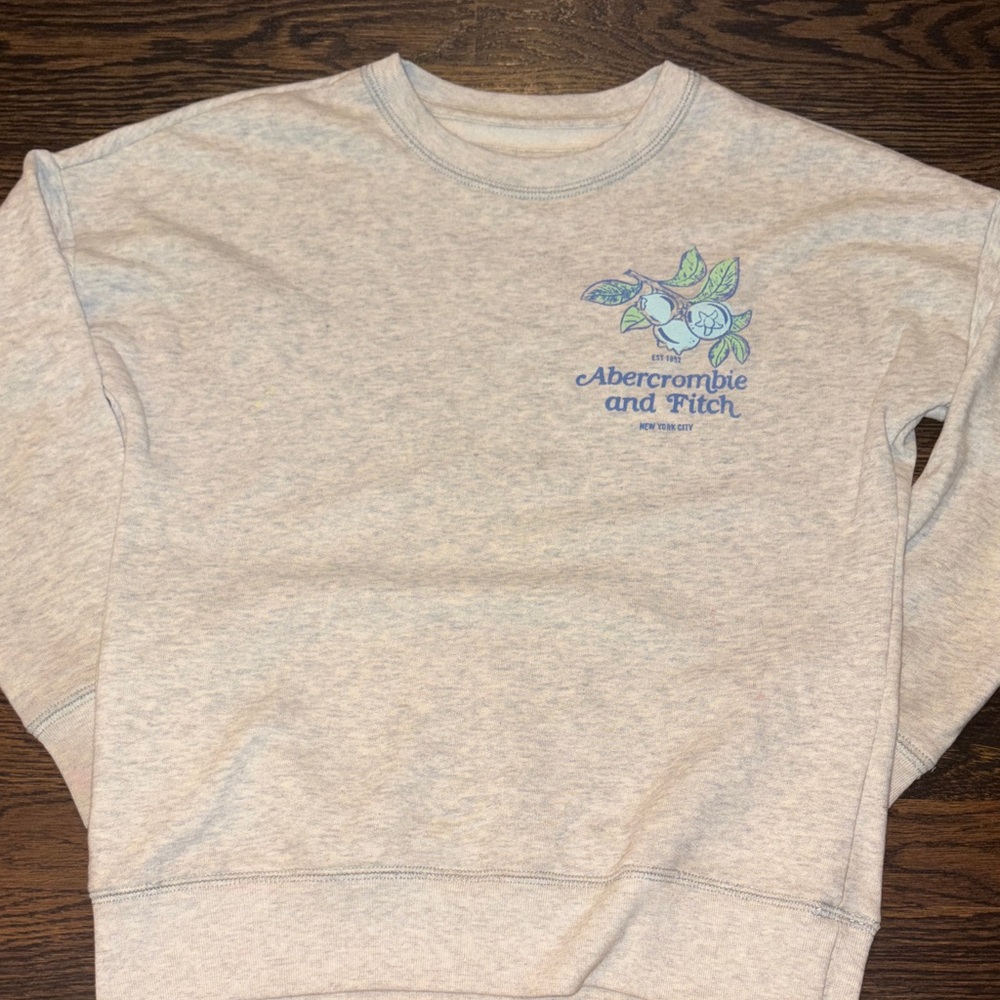 Abercrombie & Fitch Light Gray Crewneck Sweater
